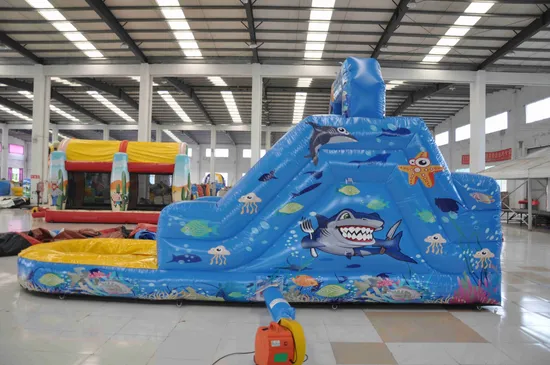 Beautiful Aquarium Inflatable Water Slide (AQ1249-1)