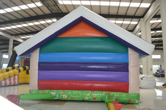 Beautiful House Style Inflatable Bouncer for Kids (AQ201-3)