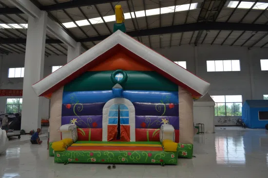 Beautiful House Style Inflatable Bouncer for Kids (AQ201-3)