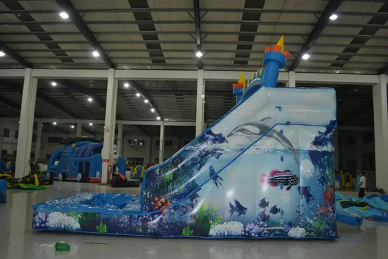 Big Sea Fort Inflatable Water Slide for Kid (AQ1081)