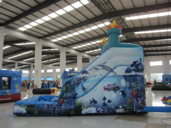 Big Sea Fort Inflatable Water Slide for Kid (AQ1081)