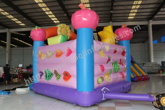 Birthday Party Decorations Inflatable Fruit Bouncer (AQ01531)