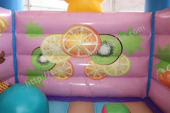 Birthday Party Decorations Inflatable Fruit Bouncer (AQ01531)