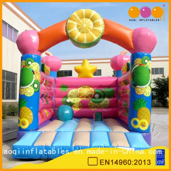 Birthday Party Decorations Inflatable Fruit Bouncer (AQ01531)