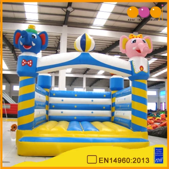 Catoon Square Inflatable Bouncer for Kid (AQ211)