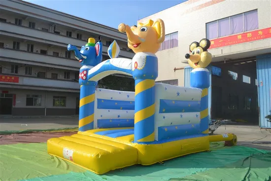 Catoon Square Inflatable Bouncer for Kid (AQ211)