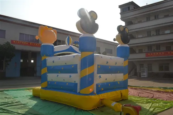 Catoon Square Inflatable Bouncer for Kid (AQ211)