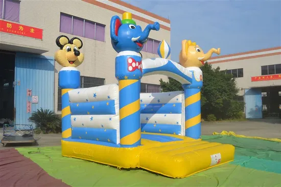 Catoon Square Inflatable Bouncer for Kid (AQ211)