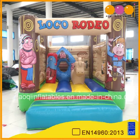 Catoon Theme Inflatable Jumping Bounce (AQ02151-2)