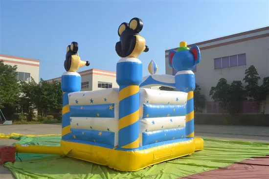 Catoon Square Inflatable Bouncer for Kid (AQ211)