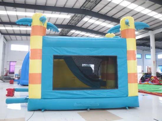 Cheap Inflatable Bouncy and Slide Combo (AQ735-5)