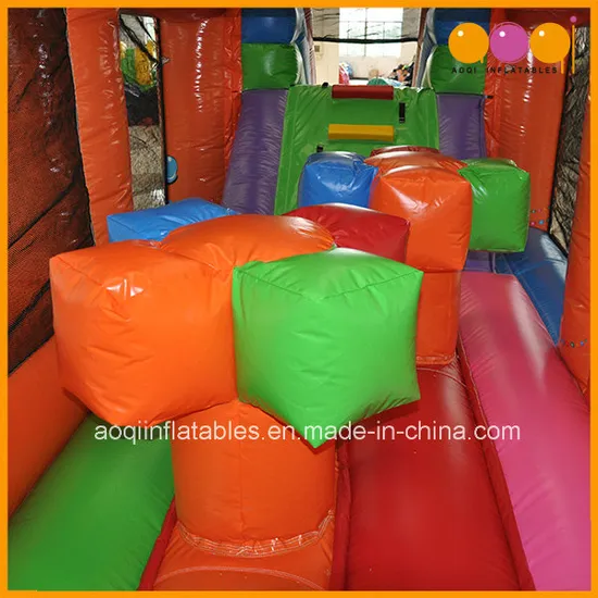 Circus Clown Inflatable Obstacle Course (AQ1446-3)