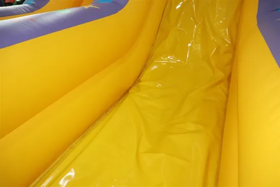 Clown High Slide with Dounble Climbing Wall Bouncing Inflatable Slide (AQ09130)