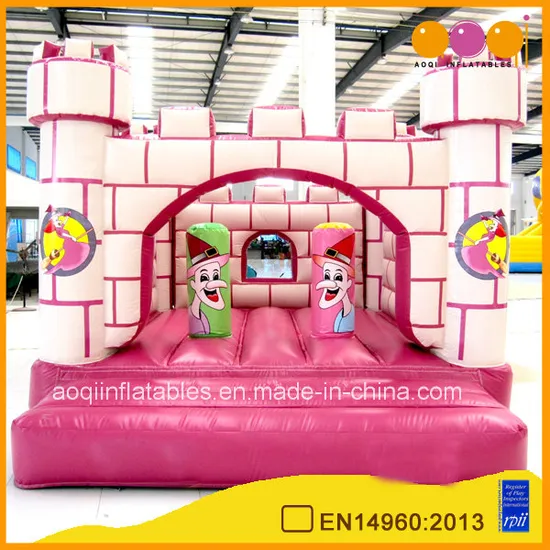 Colorful Farm House Inflatable Bouncer (AQ150)