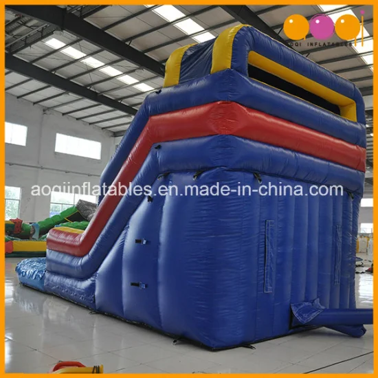 Commercial Inflatable Water Game Slide for Adult and Kids (AQ1061-4)