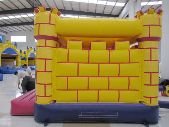 Commercial Use Inflatable Castle with Certificate (AQ558)