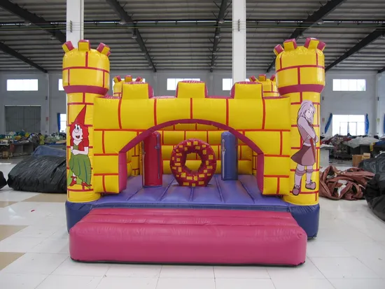 Commercial Use Inflatable Castle with Certificate (AQ558)