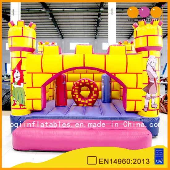 Commercial Use Inflatable Castle with Certificate (AQ558)