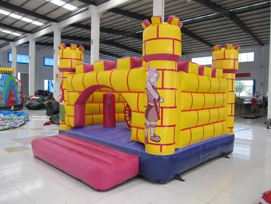 Commercial Use Inflatable Castle with Certificate (AQ558)