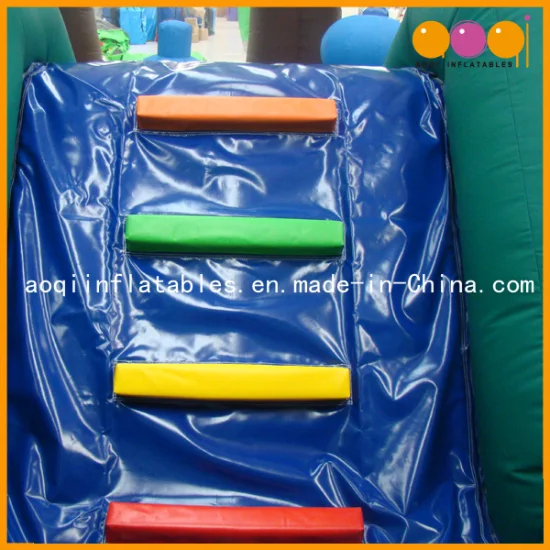 Customized Inflatable Paradise Bouncers Toy (AQ1370)