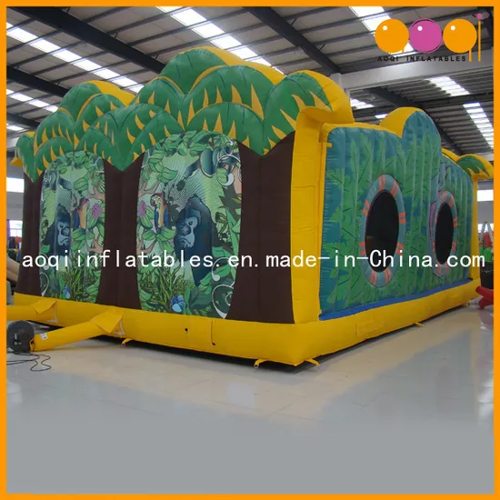 Customized Inflatable Paradise Bouncers Toy (AQ1370)