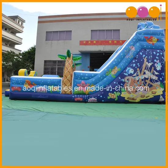 Cute Fish Inflatable Slide (AQ01123)