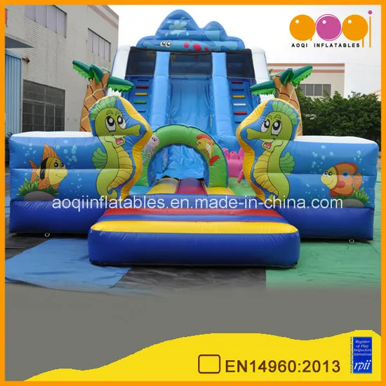 Cute Fish Inflatable Slide (AQ01123)