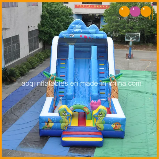 Cute Fish Inflatable Slide (AQ01123)