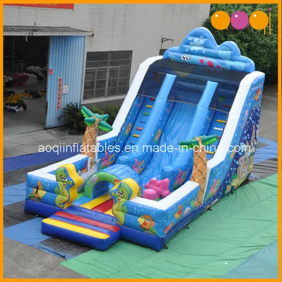 Cute Fish Inflatable Slide (AQ01123)