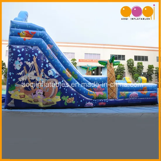 Cute Fish Inflatable Slide (AQ01123)