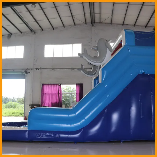 Dolphin Inflatable Water Slide Poolside Slide with Pool