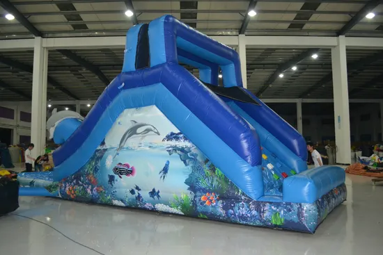 Dolphin Infltable Water Slide with Pool (AQ1079)