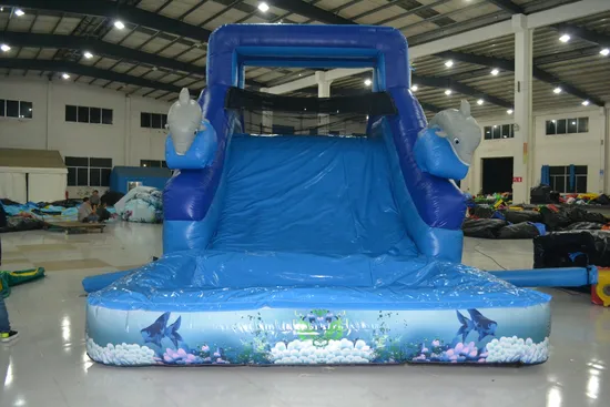 Dolphin Infltable Water Slide with Pool (AQ1079)