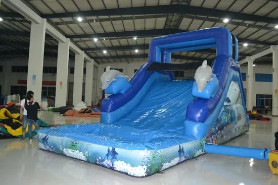 Dolphin Infltable Water Slide with Pool (AQ1079)