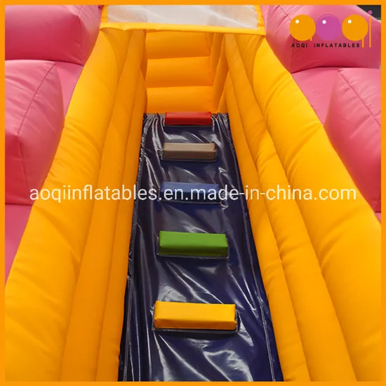 Durable Material Castles Inflatable Slide for Kids (AQ1109)