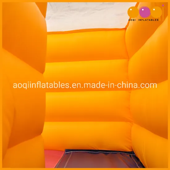 Durable Material Castles Inflatable Slide for Kids (AQ1109)