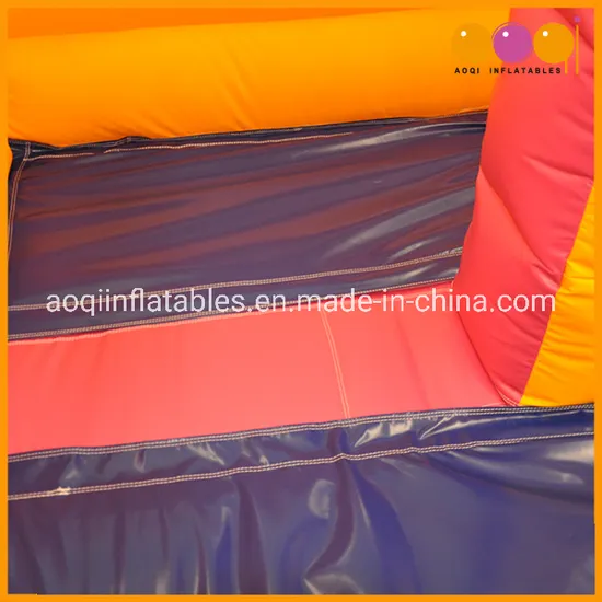 Durable Material Castles Inflatable Slide for Kids (AQ1109)