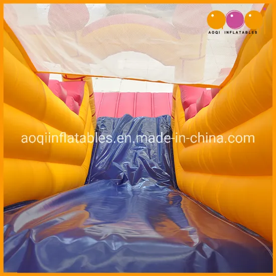 Durable Material Castles Inflatable Slide for Kids (AQ1109)