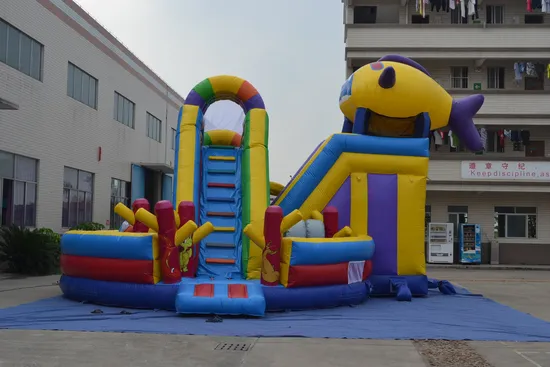 Factory Price Inflatable Amusement Park for Promotion (AQ154)