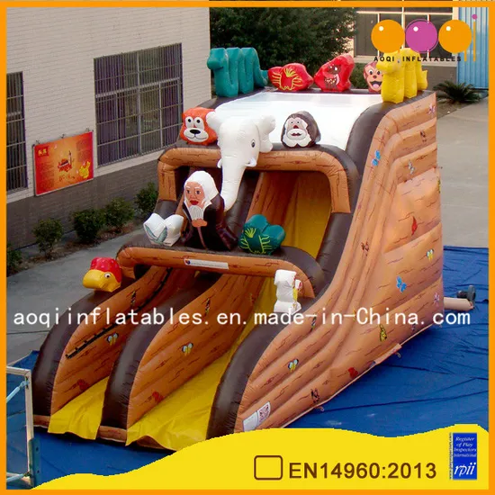 Factory Price Inflatable Slide Toy for Sale (AQ917-2)