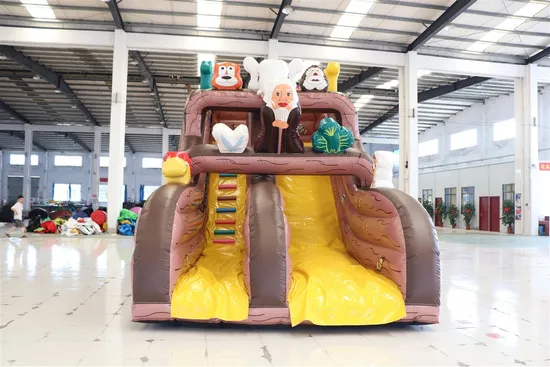 Factory Price Inflatable Slide Toy for Sale (AQ917-2)