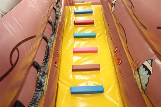 Factory Price Inflatable Slide Toy for Sale (AQ917-2)