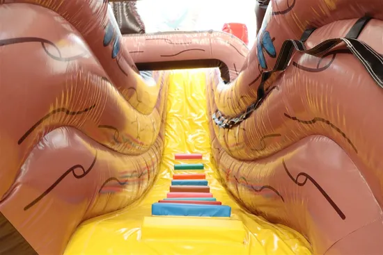 Factory Price Inflatable Slide Toy for Sale (AQ917-2)