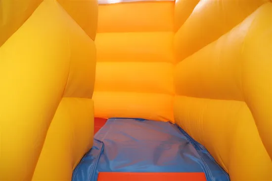 Funny Inflatable Water and Dry Slide (aq1109)