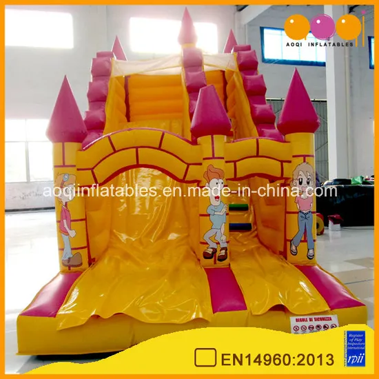 Funny Inflatable Water and Dry Slide (aq1109)