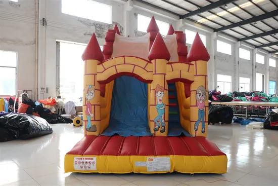 Funny Inflatable Water and Dry Slide (aq1109)