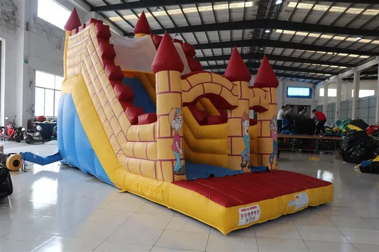 Funny Inflatable Water and Dry Slide (aq1109)