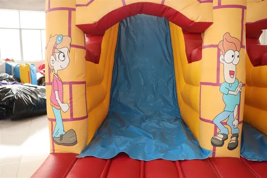 Funny Inflatable Water and Dry Slide (aq1109)