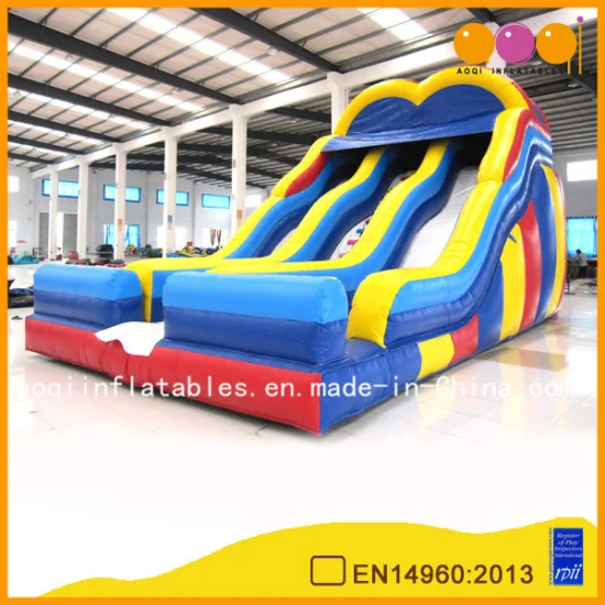 Giant Inflatable Water Slide for Children (AQ09119)