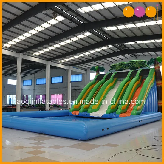 Giant Inflatable Water Slide for Children (AQ09119)